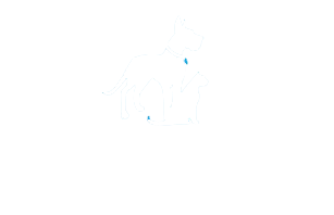 The Settle